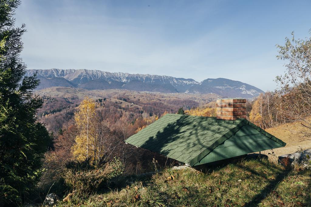 Drumul Carului Villa Моечу де Жос Стая снимка